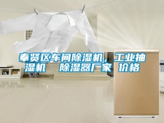 企業新聞奉賢區車間除濕機，工業抽濕機  除濕器廠家 價格