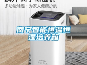 知識百科南寧智能恒溫恒濕培養箱