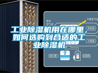 常見問題工業除濕機用在哪里，如何選購到合適的工業除濕機