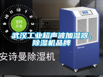 常見問題武漢工業超聲波加濕器，除濕機品牌