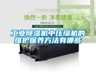 企業新聞工業除濕機中壓縮機的維護保養方法有哪些