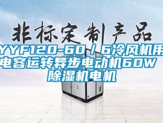 企業新聞YYF120-60／6冷風機用電容運轉異步電動機60W 除濕機電機