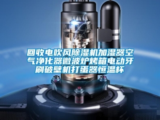 知識百科回收電吹風除濕機加濕器空氣凈化器微波爐烤箱電動牙刷破壁機打蛋器恒溫杯
