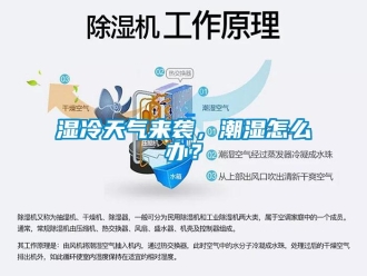 常見問題濕冷天氣來襲，潮濕怎么辦？