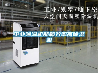 常見問題工業除濕機邯鄲效率高除濕機