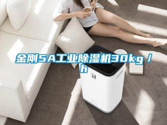 行業新聞金剛5A工業除濕機30kg／h