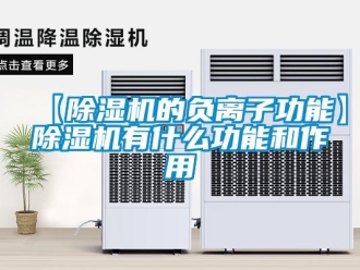 企業新聞【除濕機的負離子功能】除濕機有什么功能和作用