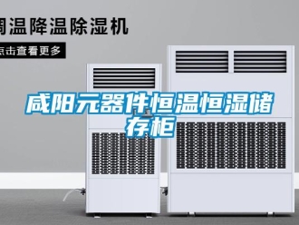 知識百科咸陽元器件恒溫恒濕儲存柜