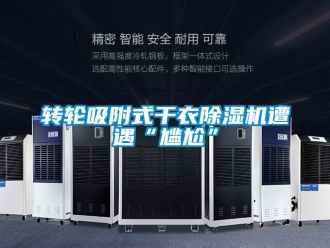 知識百科轉輪吸附式干衣除濕機遭遇“尷尬”