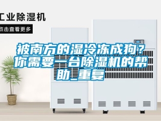 企業新聞被南方的濕冷凍成狗？你需要一臺除濕機的幫助_重復