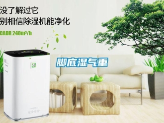 行業新聞腳底濕氣重