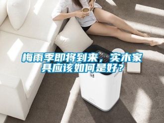 常見問題梅雨季即將到來，實木家具應該如何是好？