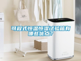知識百科可程式恒溫恒濕試驗箱有哪些優點？