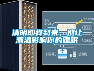 行業新聞清明即將到來，別讓潮濕影響你的睡眠