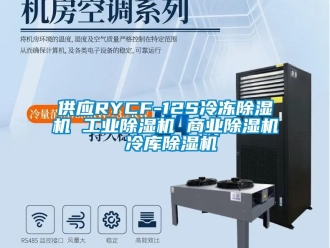 常見問題供應RYCF-12S冷凍除濕機 工業除濕機 商業除濕機 冷庫除濕機