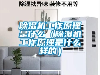 行業新聞除濕機工作原理是什么（除濕機工作原理是什么樣的）