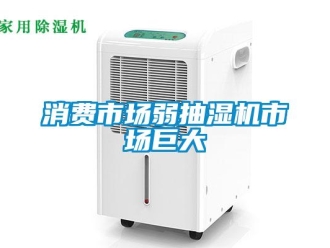 知識百科消費市場弱抽濕機市場巨大