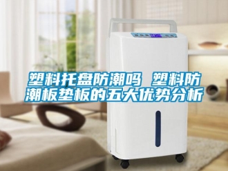 常見問題塑料托盤防潮嗎 塑料防潮板墊板的五大優勢分析