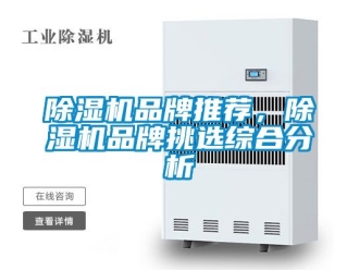 企業新聞除濕機品牌推薦，除濕機品牌挑選綜合分析