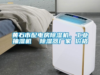 企業新聞黃石市配電房除濕機，工業抽濕機  除濕器廠家 價格