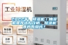 2022年，除濕機／抽濕機推薦選購攻略，除濕機真的有用嗎？