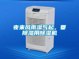 知識百科夜來風雨濕氣起，要除濕用除濕機