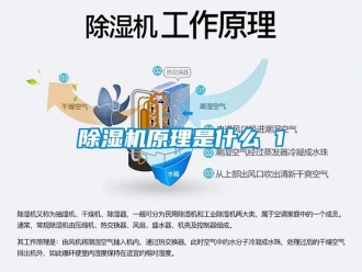 行業新聞除濕機原理是什么 1