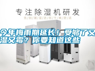 行業新聞今年梅雨期延長！受夠了又濕又霉？你要知道這些