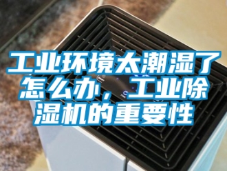 常見問題工業環境太潮濕了怎么辦，工業除濕機的重要性