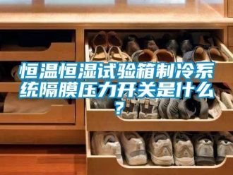 知識百科恒溫恒濕試驗箱制冷系統隔膜壓力開關是什么？