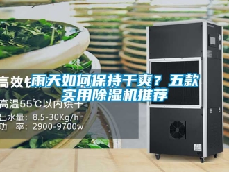行業新聞雨天如何保持干爽？五款實用除濕機推薦