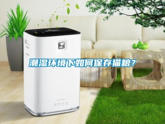 常見問題潮濕環境下如何保存貓糧？