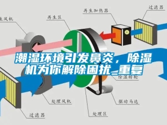 企業新聞潮濕環境引發鼻炎，除濕機為你解除困擾_重復