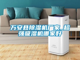 企業新聞萬安縣除濕機廠家_超強吸濕機哪家好