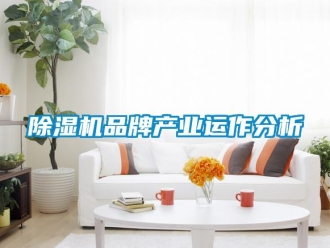 常見問題除濕機品牌產業運作分析