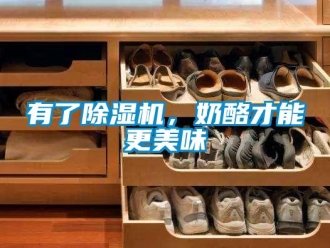 知識百科有了除濕機，奶酪才能更美味