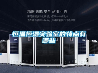 知識百科恒溫恒濕實驗室的特點有哪些