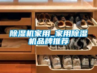 企業新聞除濕機家用_家用除濕機品牌推薦