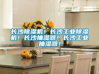 常見問題長沙除濕機！長沙工業除濕機！長沙抽濕器！長沙工業抽濕器！