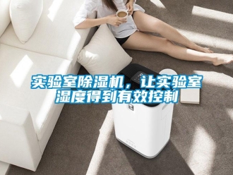 知識百科實驗室除濕機，讓實驗室濕度得到有效控制
