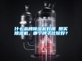 企業新聞什么品牌除濕機好用 想買除濕機，哪個牌子比較好？