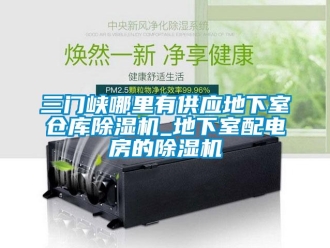 企業新聞三門峽哪里有供應地下室倉庫除濕機_地下室配電房的除濕機