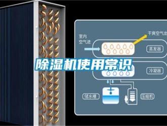 企業新聞除濕機使用常識