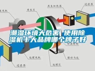 企業新聞潮濕環境大危害 使用除濕機十大品牌哪個牌子好