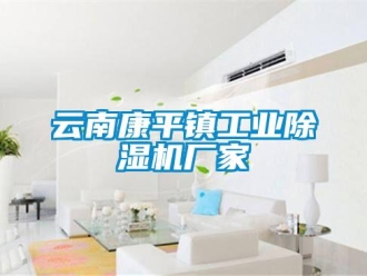 企業新聞云南康平鎮工業除濕機廠家