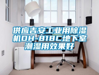 常見問題供應吉安工業用除濕機DH-818C地下室潮濕用效果好