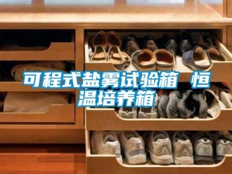 知識百科可程式鹽霧試驗箱 恒溫培養箱