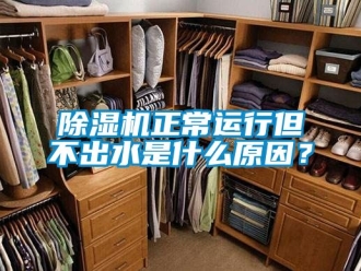 行業新聞除濕機正常運行但不出水是什么原因？