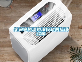 知識百科實驗室恒溫恒濕控制系統試驗箱