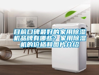企業新聞目前口碑最好的家用除濕機品牌有哪些？家用除濕機的價格和圖片介紹